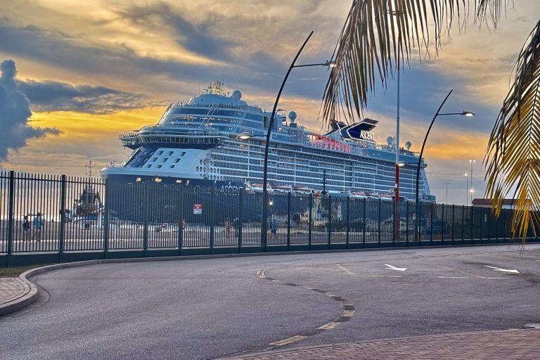 List of Top 10 Cruise Ships To Try