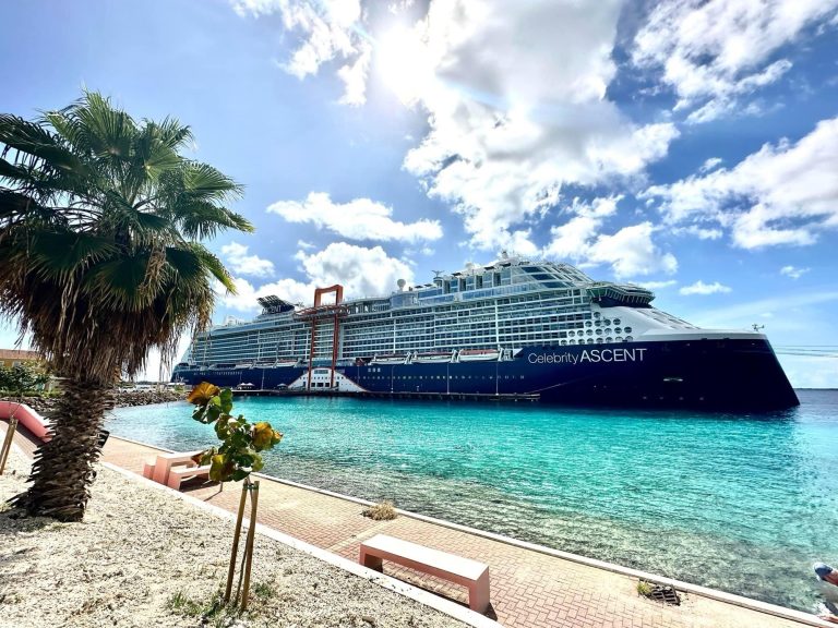 Cruise Ship Private Islands & Ports